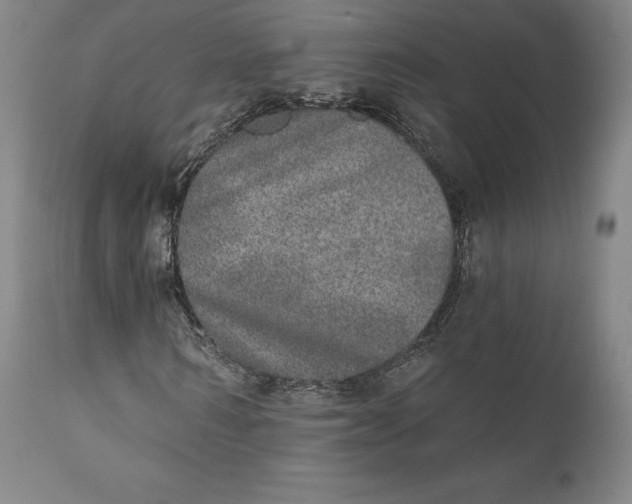 X0000110760962200907061051