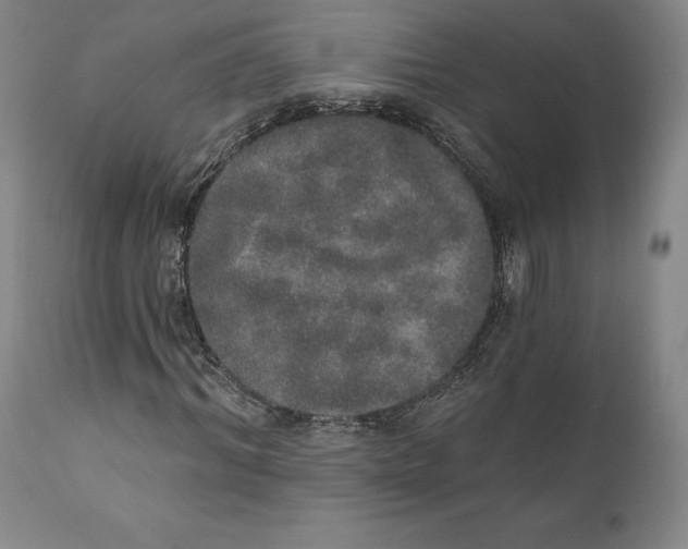 X0000110760964200907061051