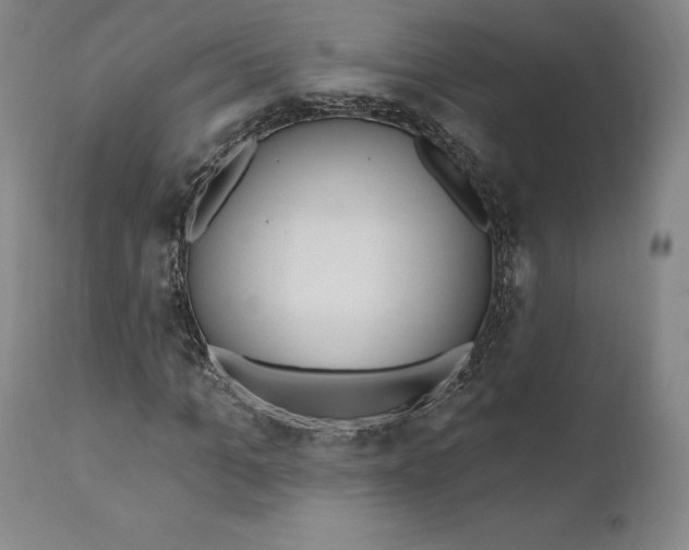 X0000110760965200907061051