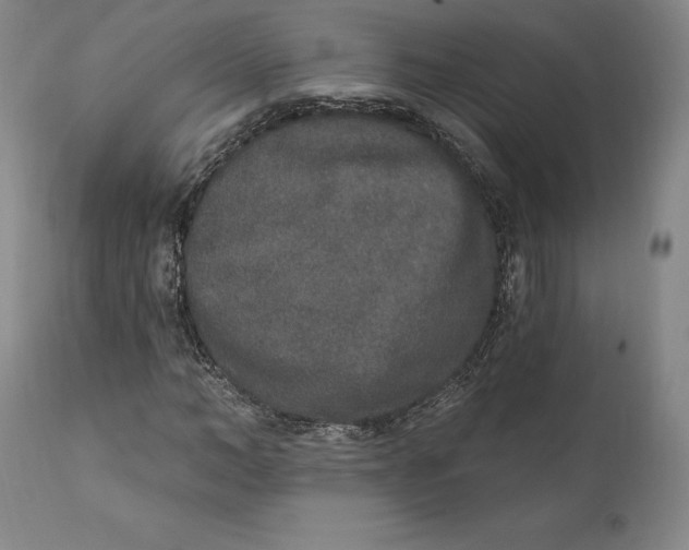 X0000110760966200907061051