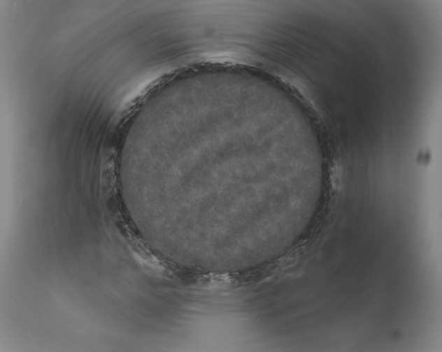 X0000110760968200907061051