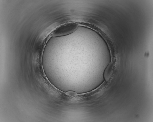 X0000110760969200907061051