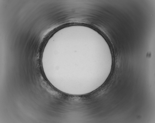 X0000110760971200907061051
