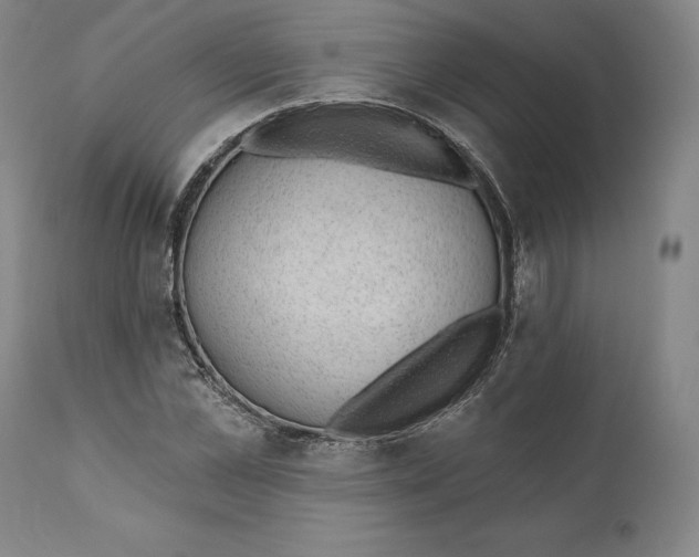 X0000110760973200907061051