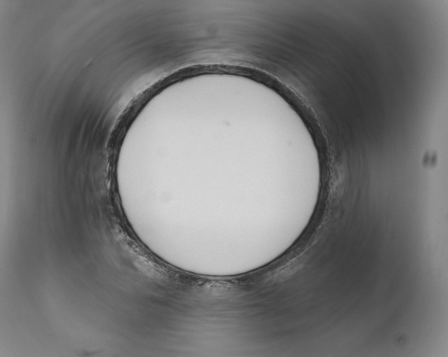 X0000110760974200907061051