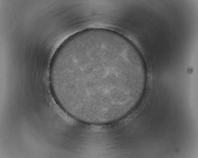 X0000110760976200907061051