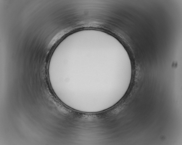 X0000110760978200907061051