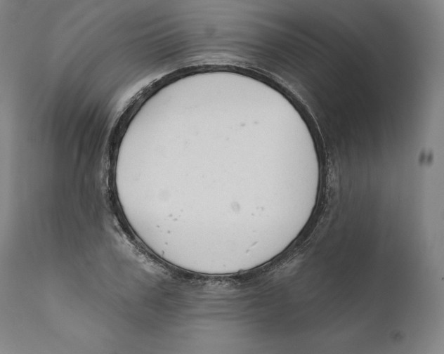X0000110760979200907061051