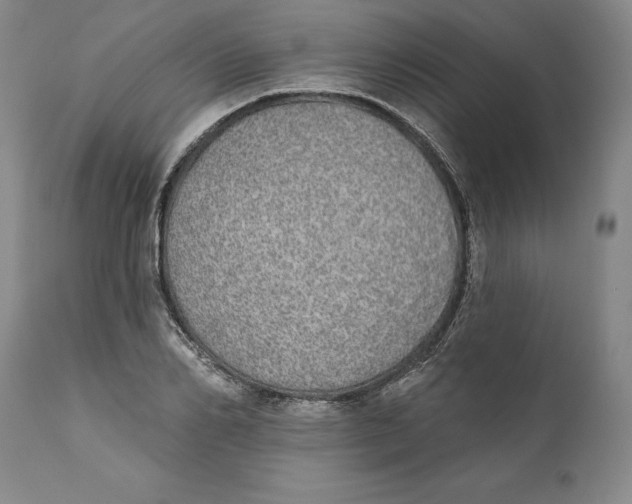 X0000110760982200907061051