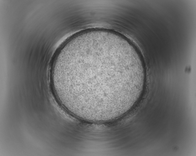X0000110760983200907061051