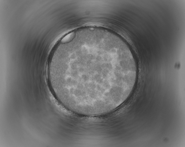 X0000110760984200907061051