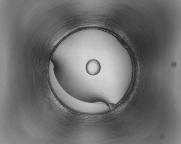 X0000110760985200907061051