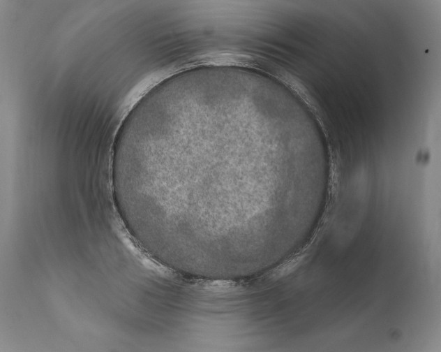 X0000110760986200907061051
