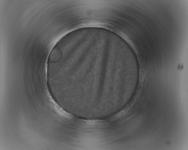 X0000110760988200907061051