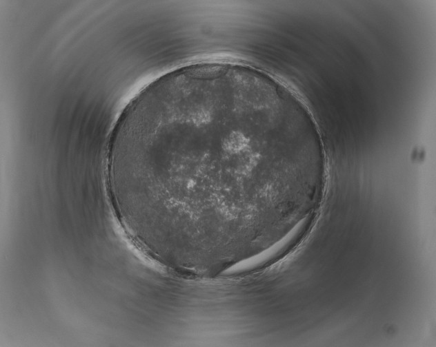X0000110760989200907061051