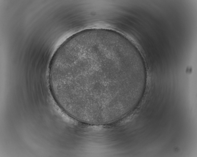 X0000110760990200907061051