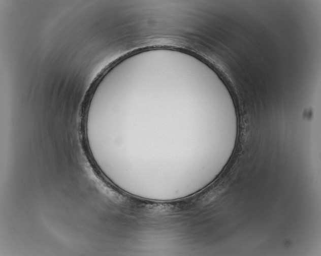 X0000110760991200907061051