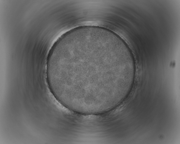 X0000110760992200907061051
