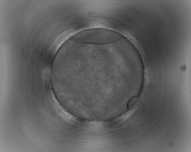 X0000110760993200907061051