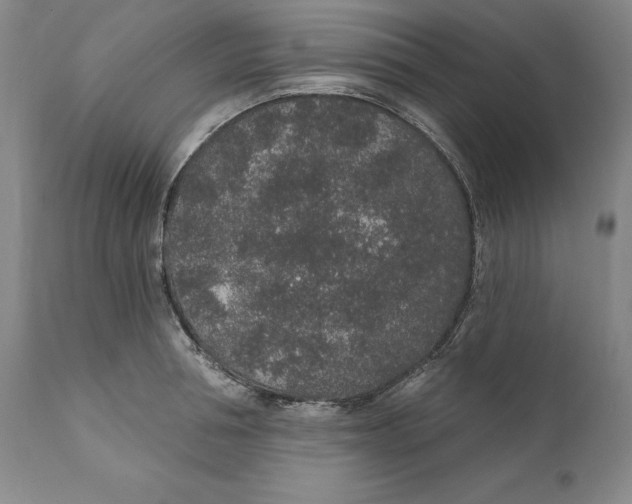 X0000110760994200907061051
