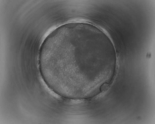 X0000110760997200907061051