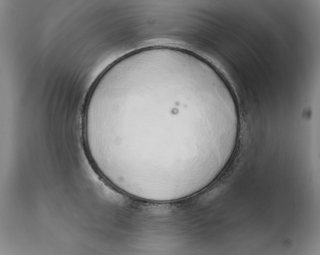 X0000110760999200907061050