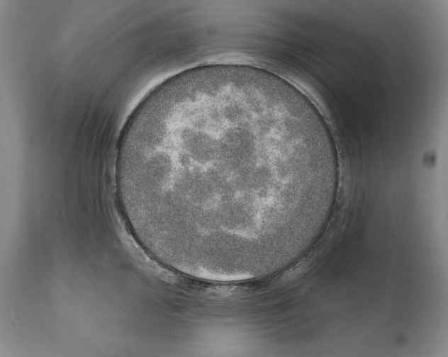 X0000110761000200907061050