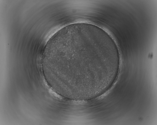 X0000110761001200907061050