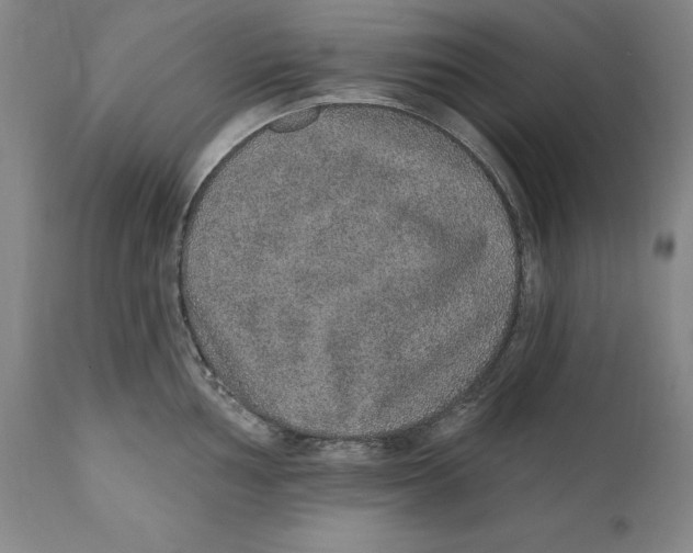X0000110761002200907061050