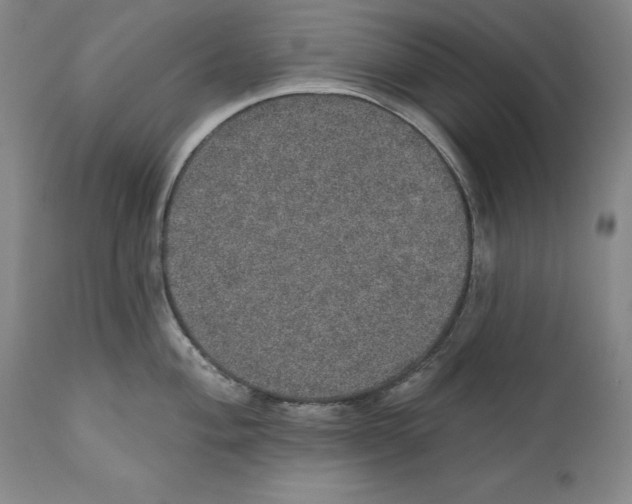 X0000110761004200907061050