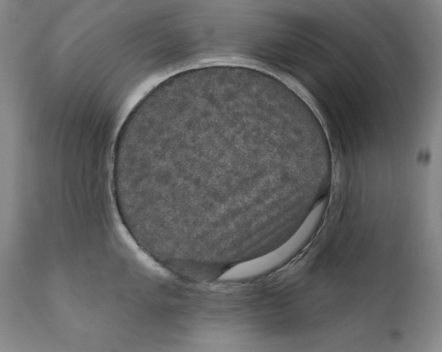 X0000110761005200907061050