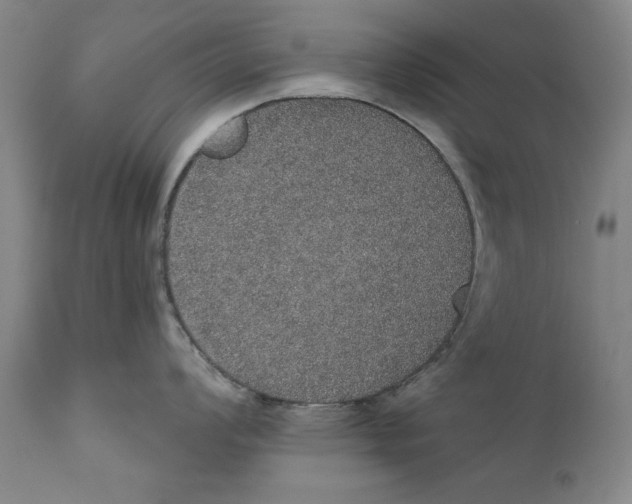 X0000110761008200907061050