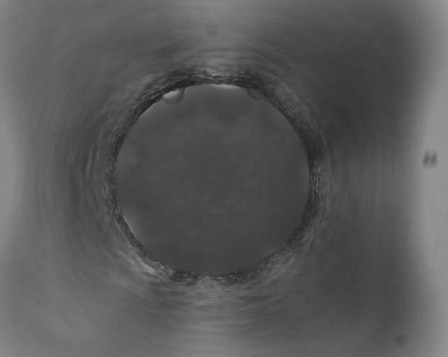X0000110761009200907061050
