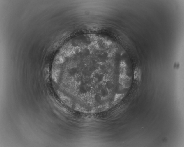 X0000110761011200907061050