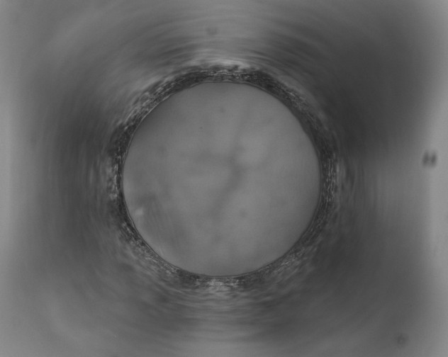 X0000110761013200907061050