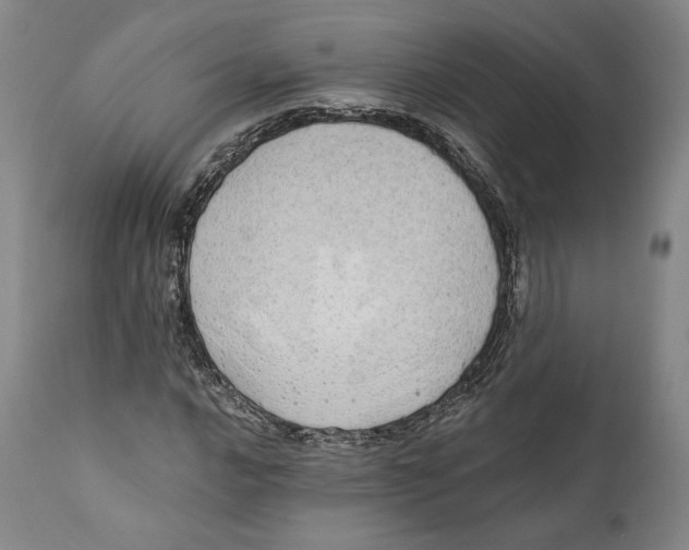 X0000110761016200907061050