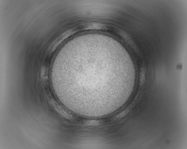 X0000110761017200907061050