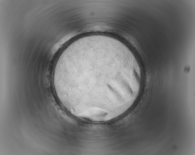 X0000110761018200907061050