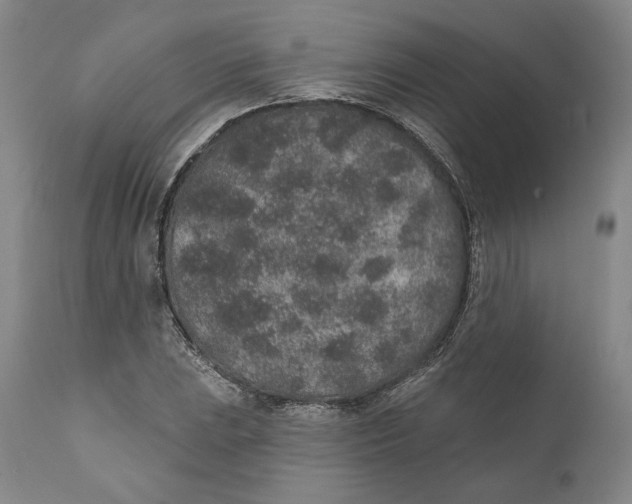 X0000110761023200907061050