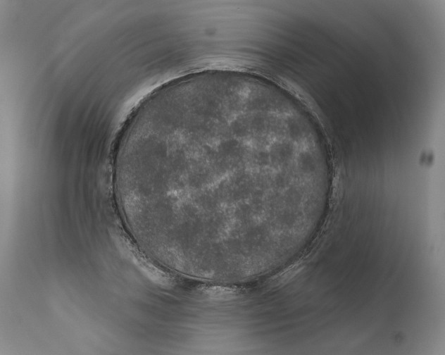 X0000110761027200907061050