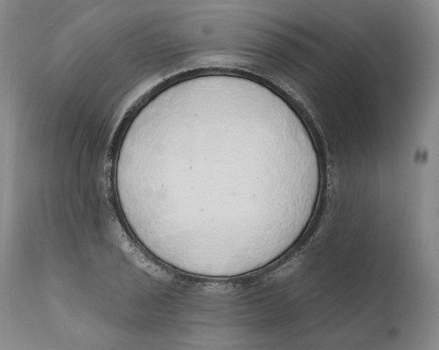 X0000110761029200907061050