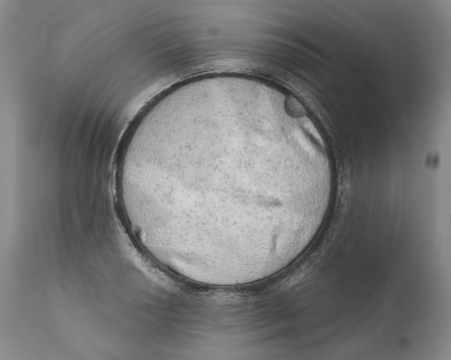 X0000110761034200907061050