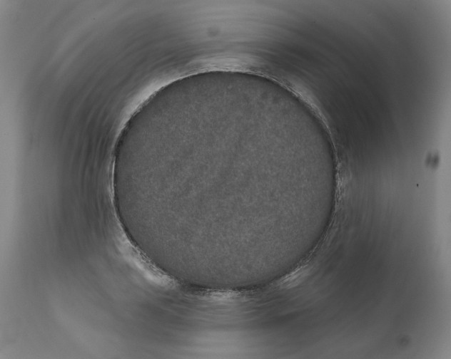 X0000110761035200907061050