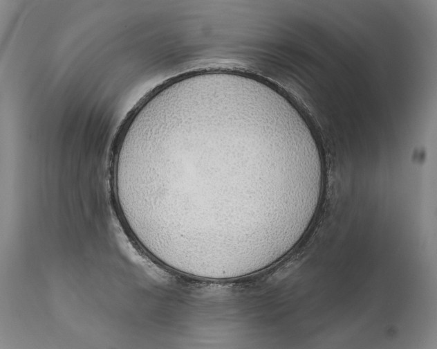 X0000110761038200907061050