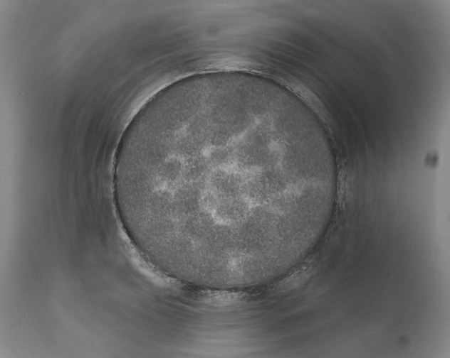 X0000110761039200907061050