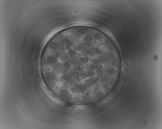 X0000110761043200907061050
