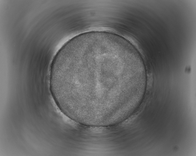 X0000110761046200907061050