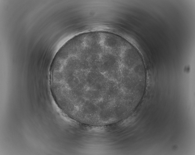 X0000110761047200907061050