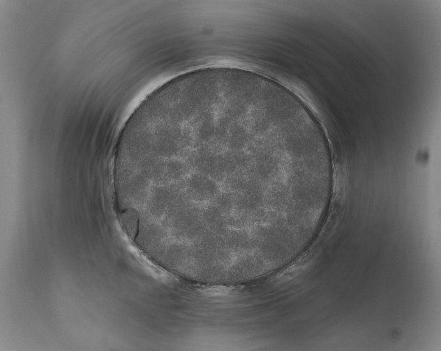 X0000110761048200907061050