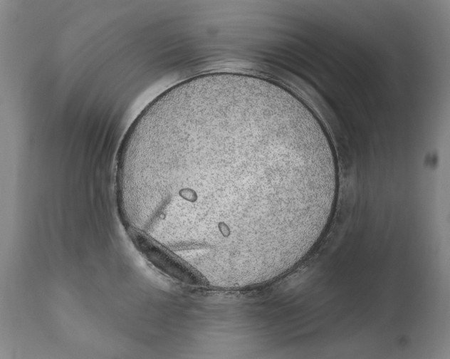 X0000110761050200907061050